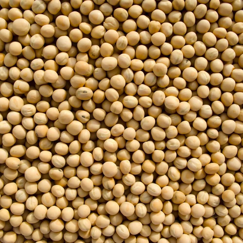 Whole Yellow Peas